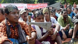 Tribals-Decry
